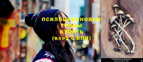 СК Сафоново