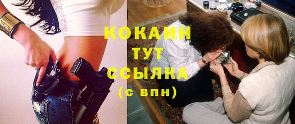 прущий лед Алзамай