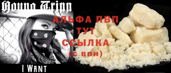 СК Сафоново