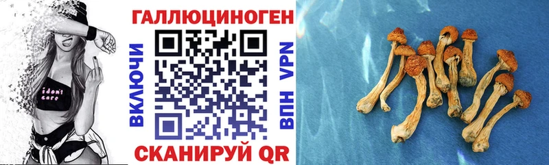 купить   кракен зеркало  Псилоцибиновые грибы Cubensis  Лагань 
